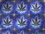 WEED BACKGROUND