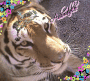 duh a tidubble garrrr that spells tigger duh a tidubble garrrr that spells tigger