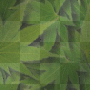herb bg