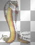 snake^^