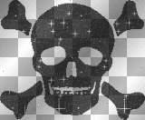 tet de mort