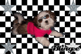 Party like a ROCKSTAR!!!!!!!