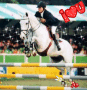 white horses rule