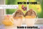 cups
