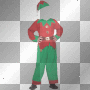 elf body