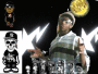 fly guy