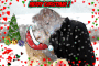 merry Catmus from Pj & cassie