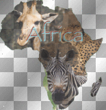 Africa