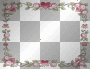 Vine Frame