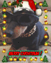 RUSH CHRISTMAS GREETINGS RUSH CHRISTMAS GREETINGS