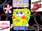 Sponge bob