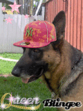 Zasha Gangsta queen!