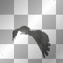 flying eagle