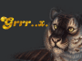 grr.x.