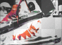 chucks