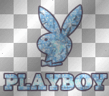 PlayBoy