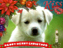 merry merry christmas