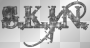 S.K.I.N. text