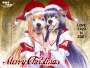 Jazziedog143