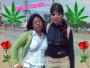 amias