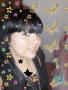 butterfly butterfly