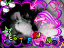xXx bf xXx