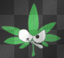 weed smokin