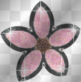 Pink Flower