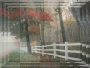 fall background 