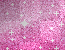 sparkly pink glitter