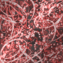 blood red with stars