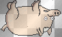 SpiderPig 2