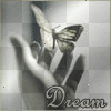 dream