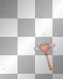 wand wand