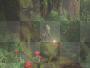 forest gnome