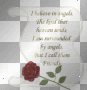 words