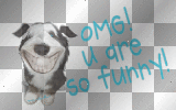 smle