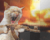 cat with gun