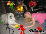 me and Buddy