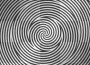 animation19 animation19