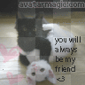 friends