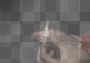 RoLl dAt SmOkE