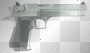 gun