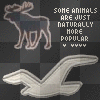 popular animals
