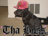 The Boss