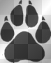Paw