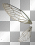 fairy wing left