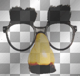 groucho glasses 