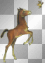 Poney