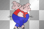 pigs